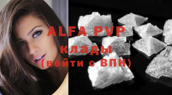 сатива Арсеньев