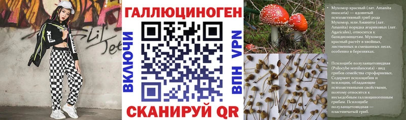 Псилоцибиновые грибы MAGIC MUSHROOMS  Себеж 